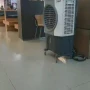 Foto 1:  Climatização para eventos 